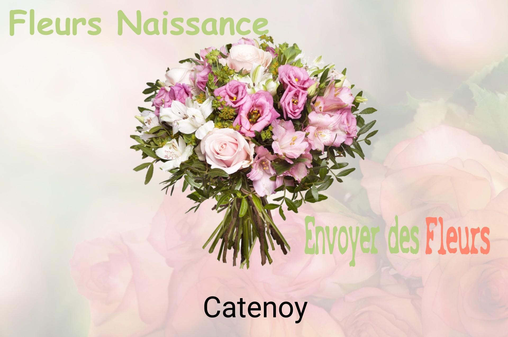 Bouquet de fleurs de naissance livré à Catenoy